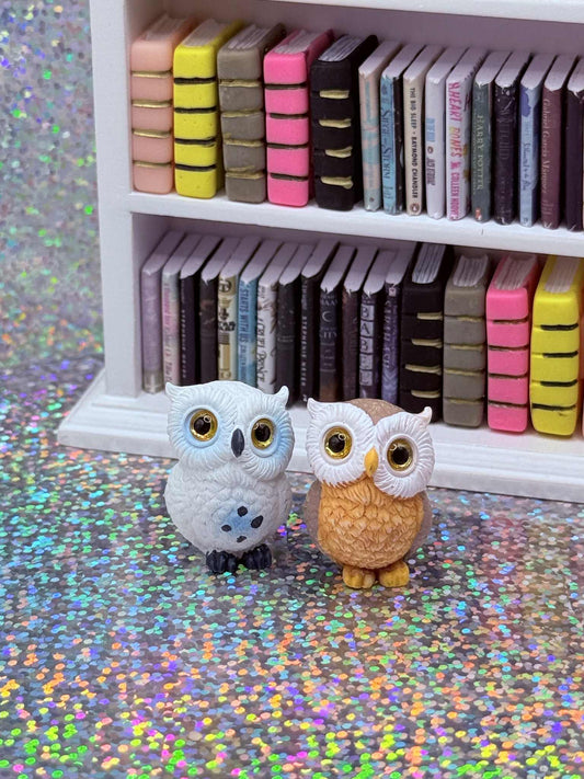 Owl Magnets