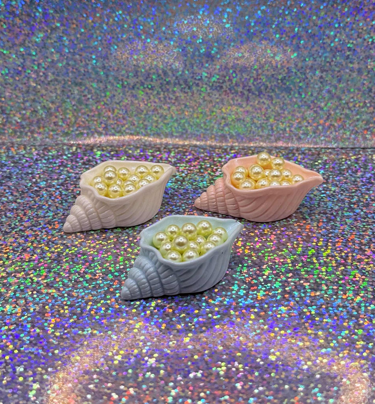 Treasure Seashell Magnet