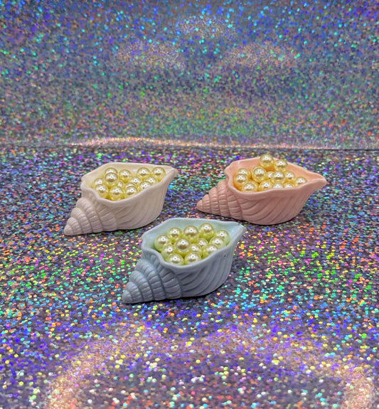 Treasure Seashell Magnet