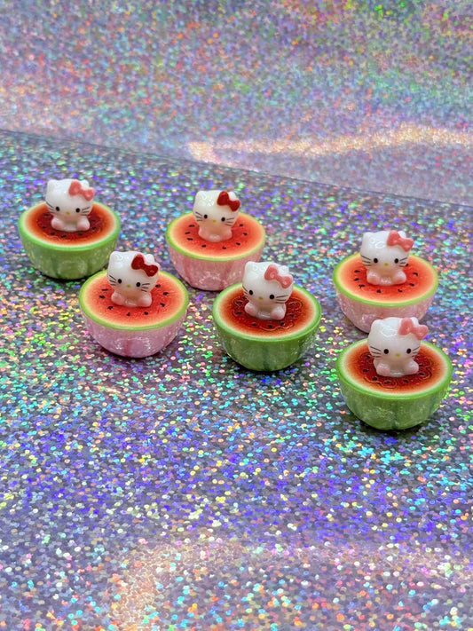 SET watermelon kitty magnet/minder